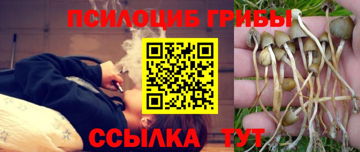 Каменка  Псилоцибиновые грибы MAGIC MUSHROOMS  Вход с VPN  Галлюциногенные грибы мицелий 